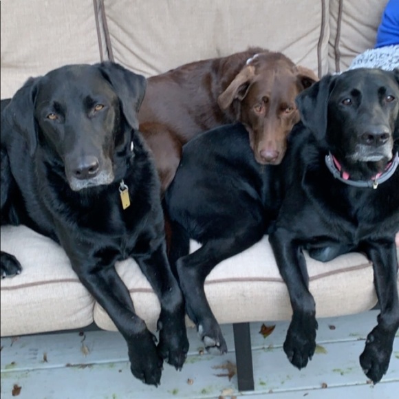 Meet your Posher, Greg - Picture 1 of 1